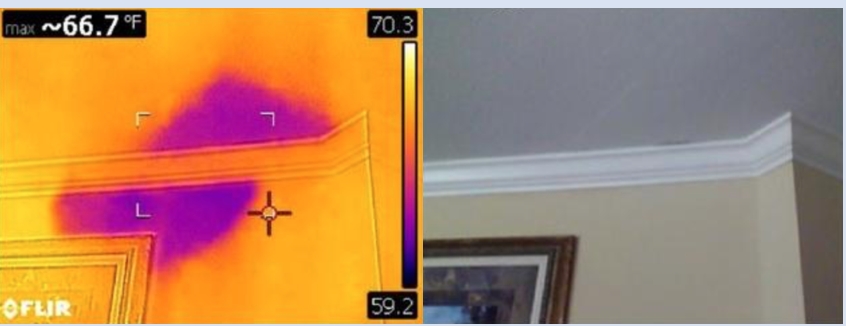 Image shows water leak in bathroom tub drain in a 2 year old home.